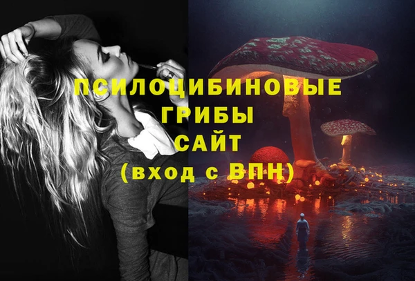 PSILOCYBIN Вяземский