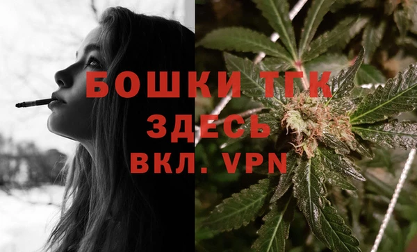 PSILOCYBIN Вяземский